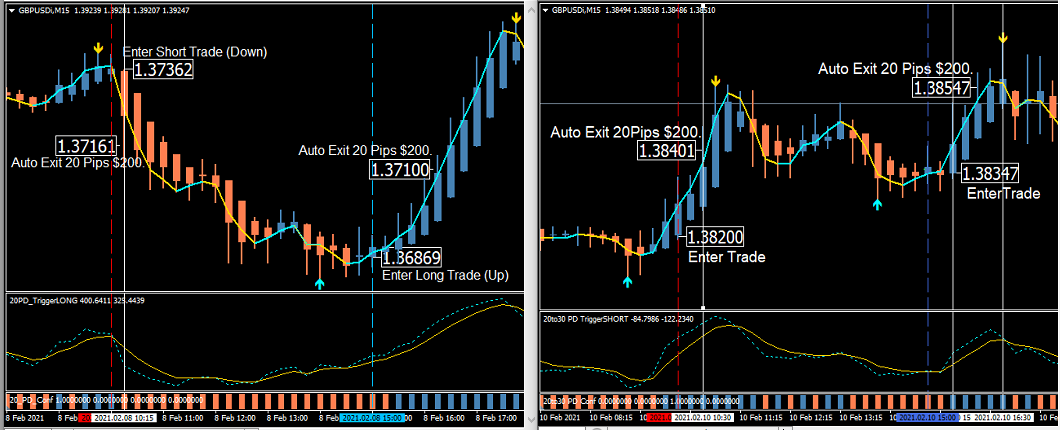 2o Pips Daily-Unique Home biz